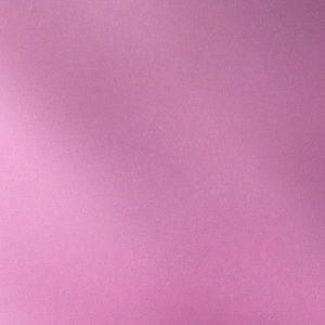 Meet your Posher, Dominae